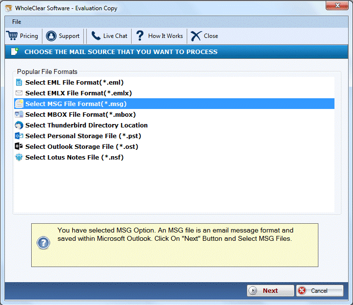 Select MSG File Format